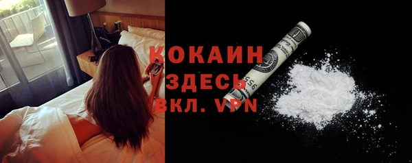 прущий лед Алзамай