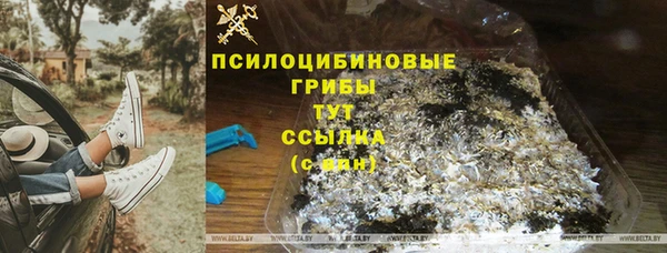 прущий лед Алзамай