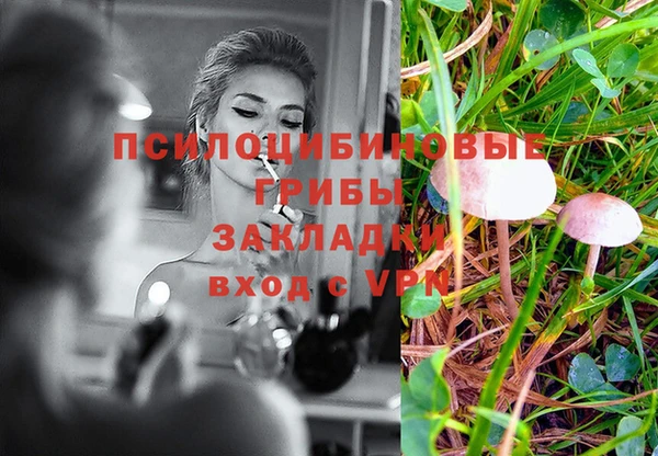 спиды Алексеевка